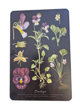 Lataa kuva Galleria-katseluun, Kasvi leikkuulauta