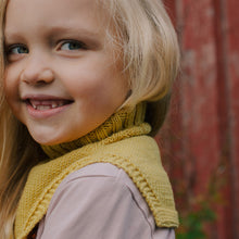 Lataa kuva Galleria-katseluun, Esikko-kauluri tarvikepaketti