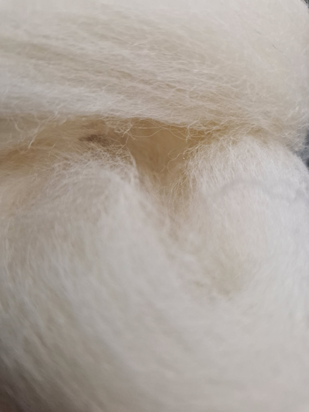 Kampamerinotopsi valkea